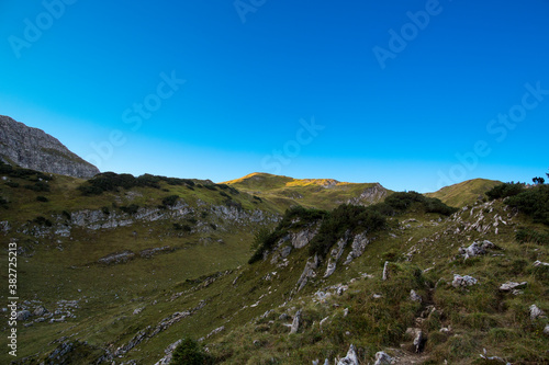 travel germany and bavaria  view above a green mountain meadow on a sunny and bright day with no clouds  Bavaria  Germany