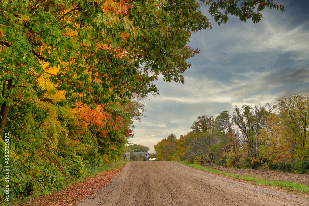 Naklejka premium Country road in autumn. Long dirt riad