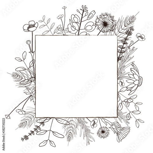 Square minimalistic frame with hand drawn wild forest herbs. Vector illustration.