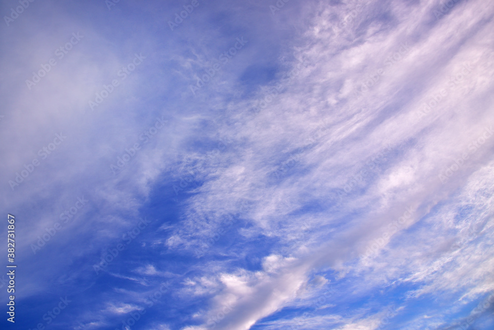 上空に広がる様々な形態の雲