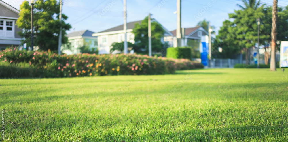 Obraz premium Garden and landscaping. Consist of green field, empty space and natural environment. That ornamental and decoration by grass, lawn, turf, bush and shrub. For home recreational and nature background.