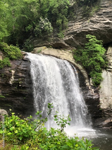waterfall in the forest