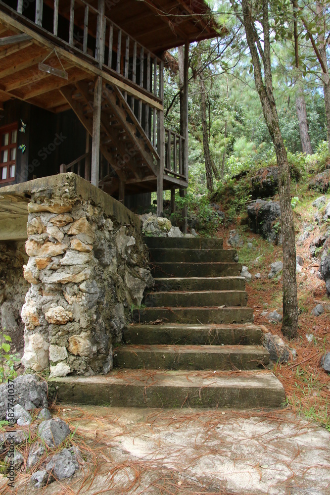 Naklejka premium Cabaña rustica en el bosque