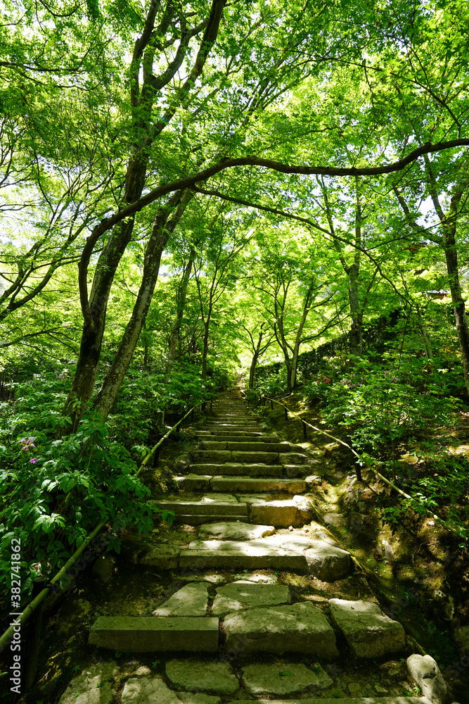 初夏を迎えた常寂光寺の境内風景 初夏を迎えた常寂光寺の境内風景