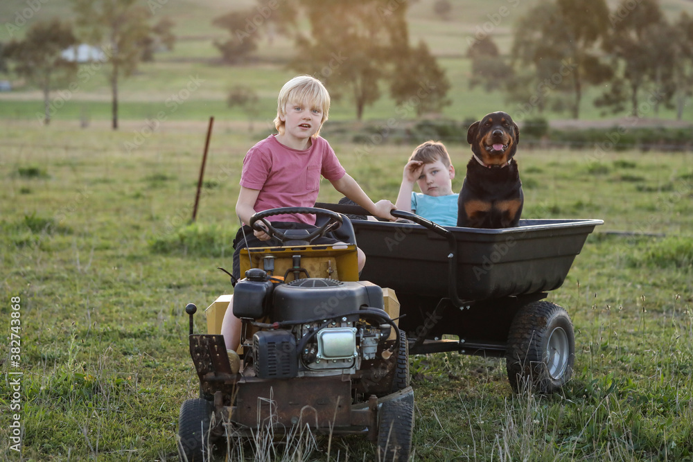 Happy boy driving ride on mower in pretty country setting with another child and dog in trailer Happy boy driving ride on mower in pretty country setting with another child and dog in trailer