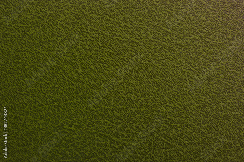 Wallpaper leather
