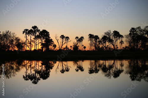 Sunset within the Okavango delta in Botswana.