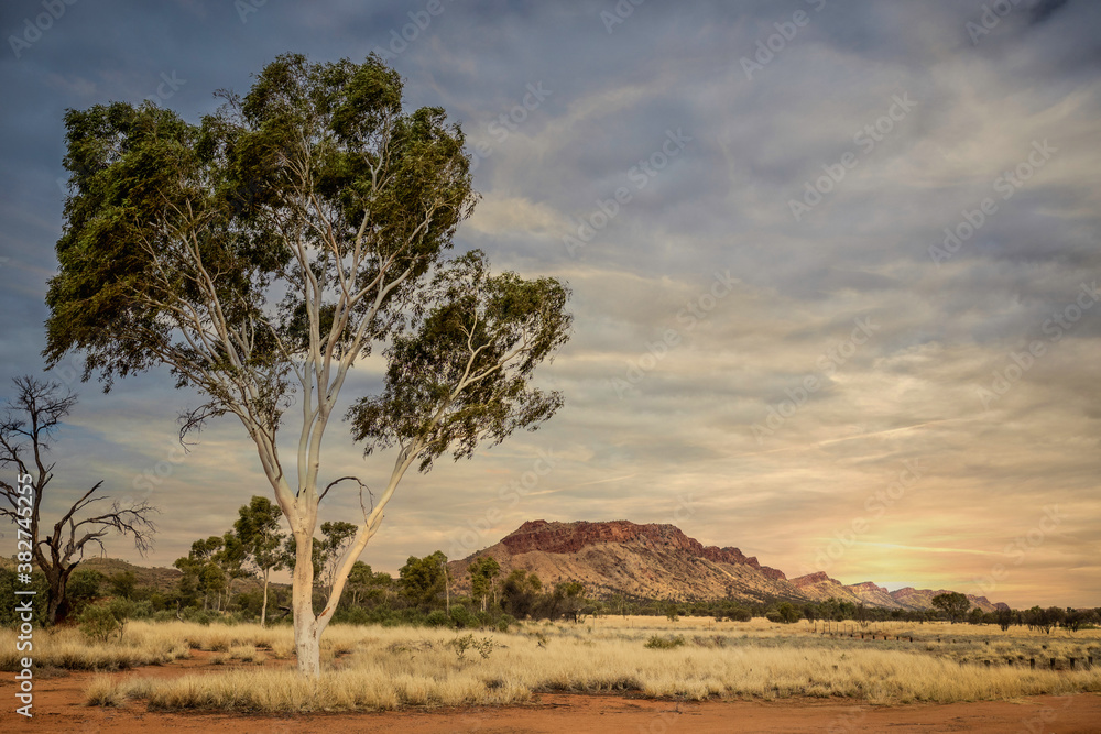 Western McDonnell Sunrise - Central Australia Western McDonnell Sunrise - Central Australia