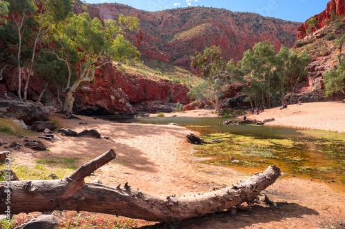 Waterhole and Dry Creek in The Australian Outback