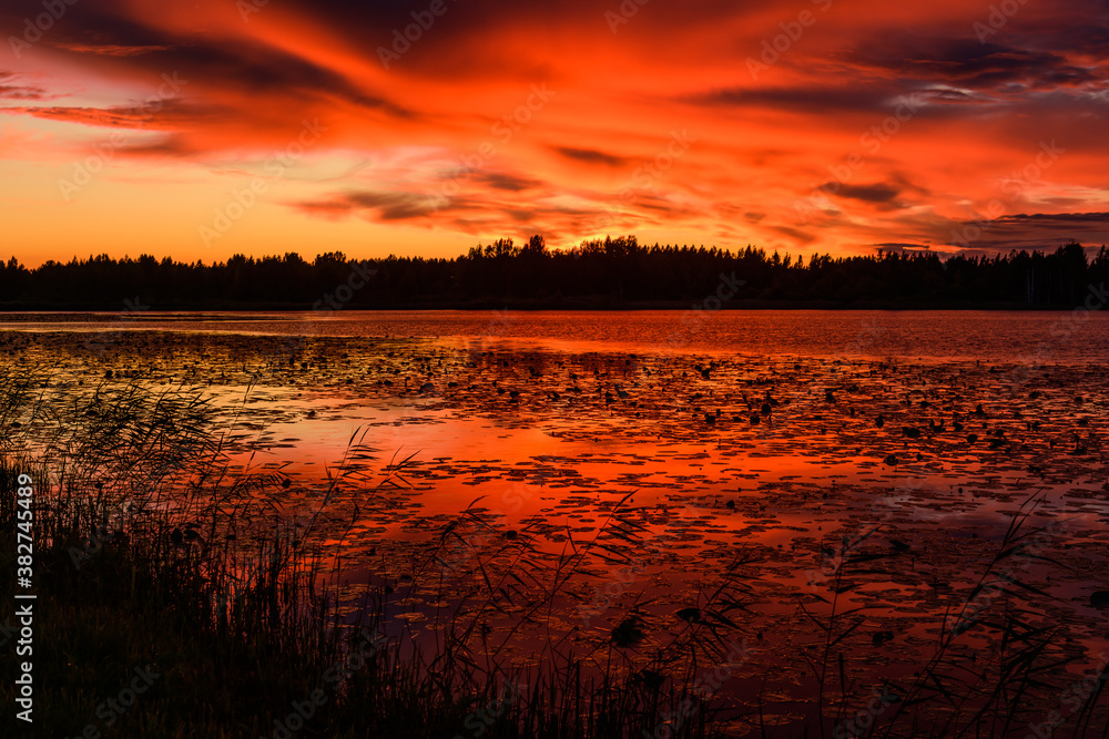 Fantastic landscape at sunset with a stunning forest lake