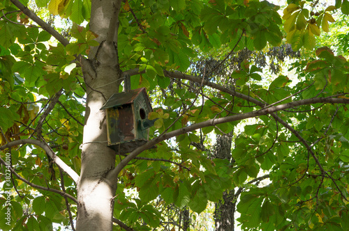 Empty house for birds in autumn. Autumn came, the birds left their homes.