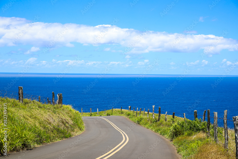 Beautiful country road, seaside pasture, Maui, Hawaii