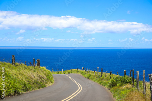 Beautiful country road  seaside pasture  Maui  Hawaii