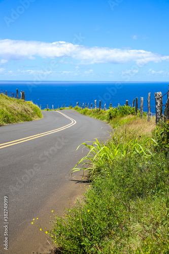 Beautiful country road  seaside pasture  Maui  Hawaii