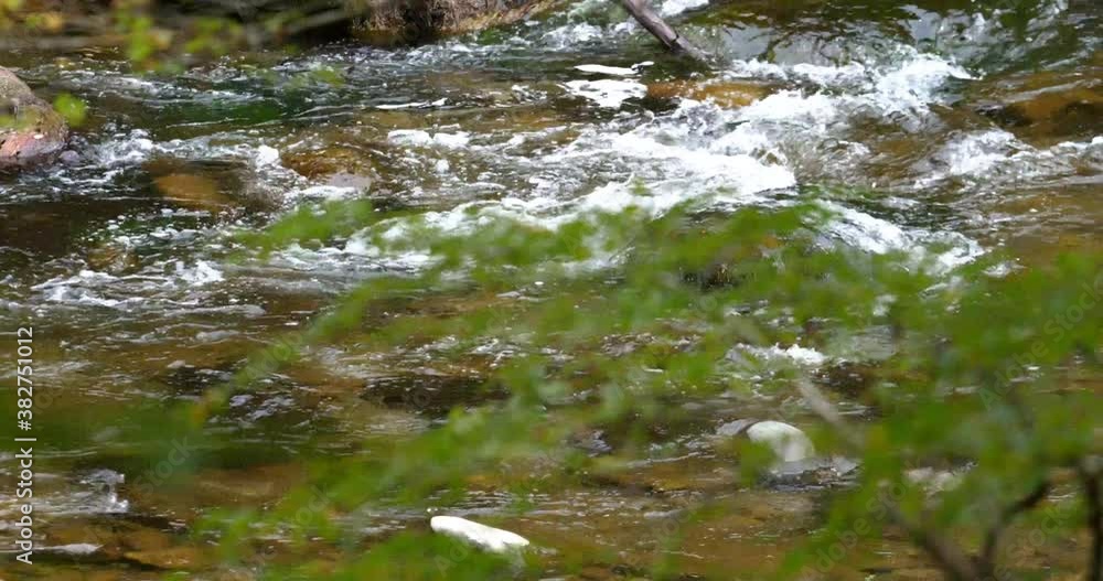 Medium, small rapids of the Little River in autumn, Tennessee, USA Medium, small rapids of the Little River in autumn, Tennessee, USA
