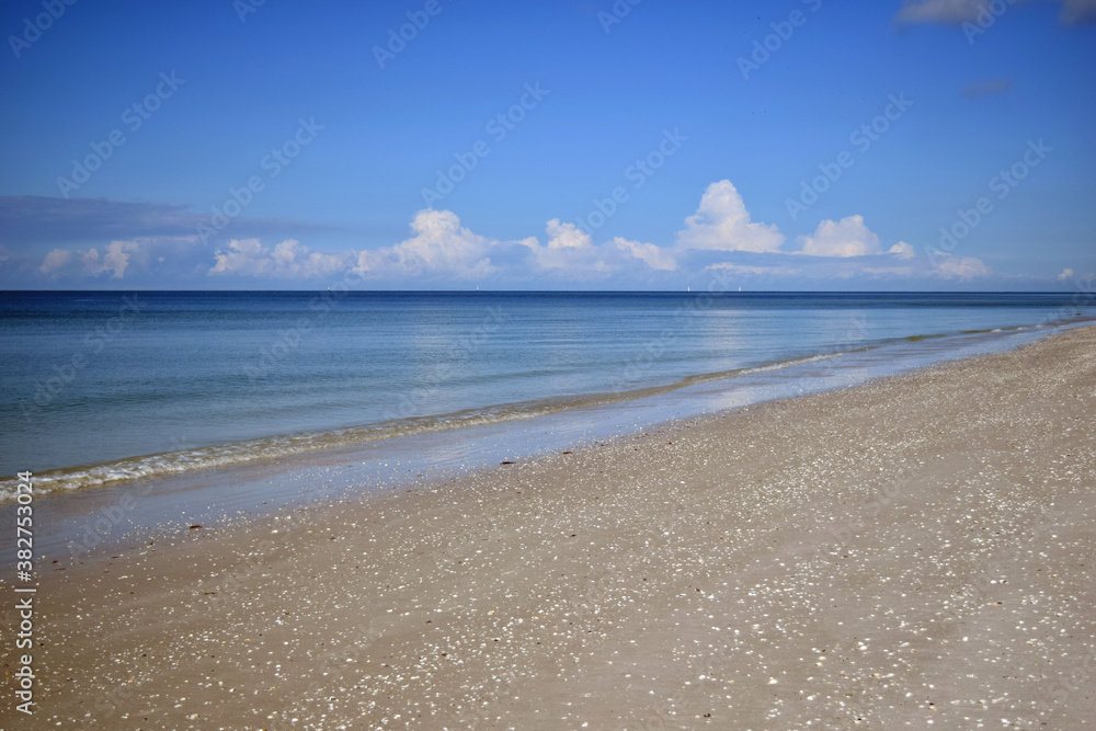 Fototapeta premium Deserted South Florida Gulf Beach 