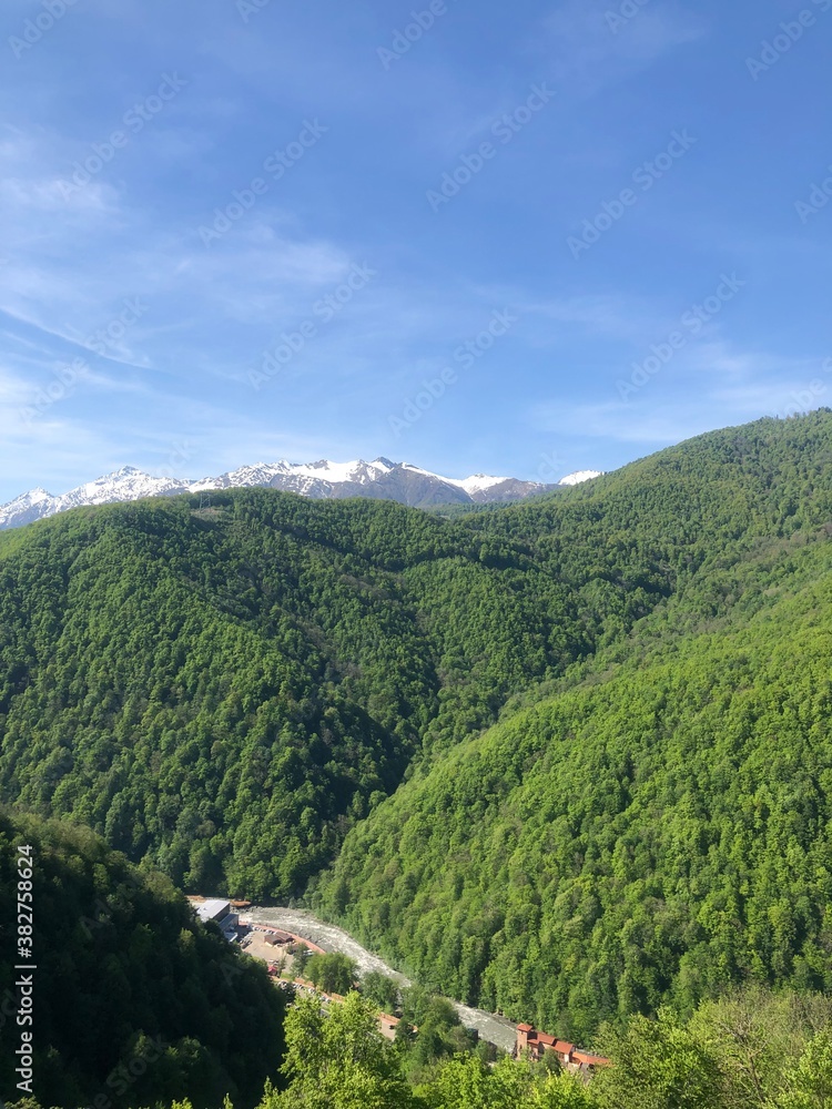 Naklejka premium landscape with sky