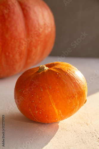 Orange and yellow pumpkins of different sizes on gray and white concrete background