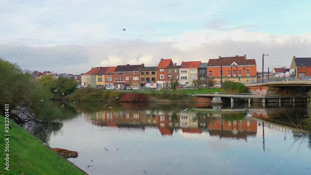 Aerial, pov, a flock of birds over a canal, Gent, Belgium Aerial, pov, a flock of birds over a canal, Gent, Belgium