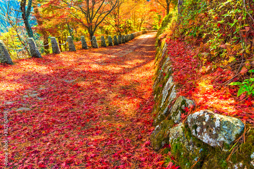 奈良県・吉野山の紅葉の道