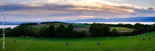 Panoramafoto Murtensee und Neuenburgersee, Schweiz