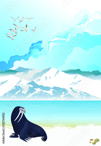 Picturesque Antarctic landscape with ocean and mountains with walrus in foreground set against a blue cloudy daytime sky