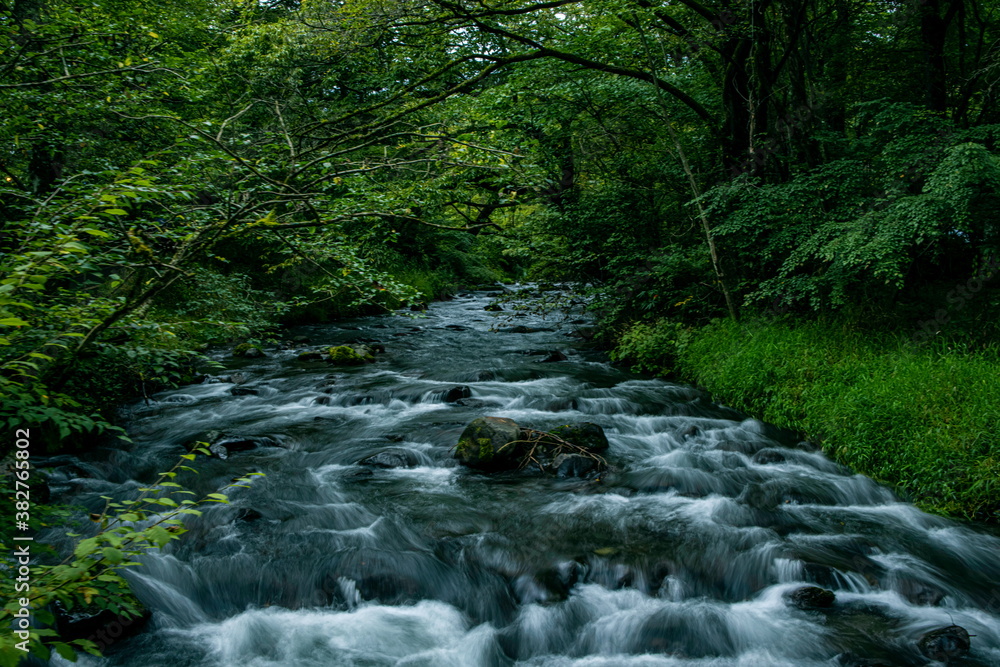 Obraz premium 滝と川