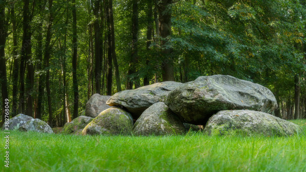 Megalith D7 in the forest of Drenthe Megalith D7 in the forest of Drenthe