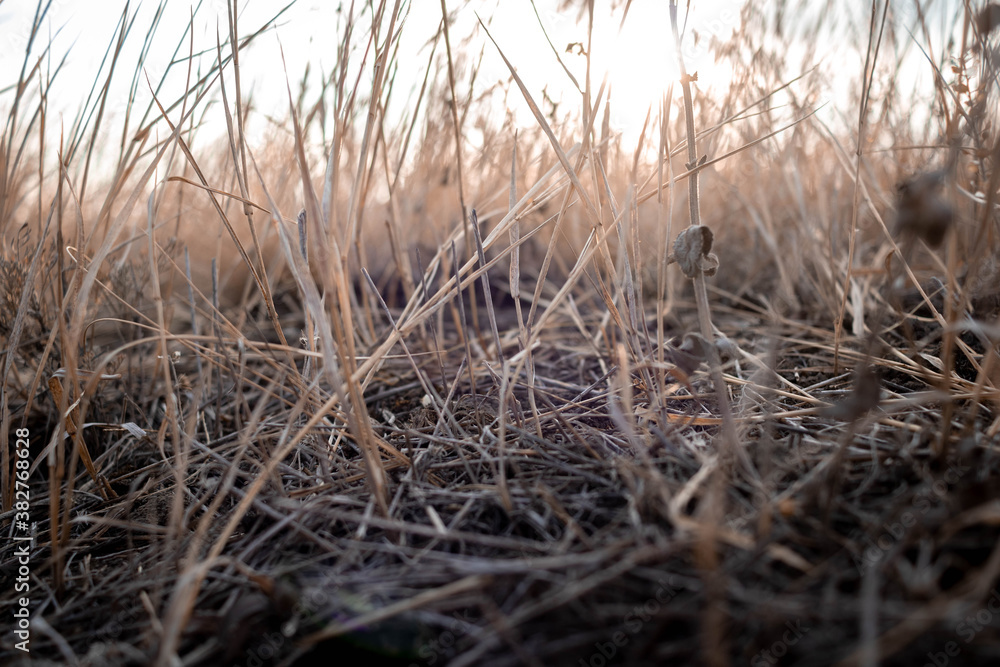 Fototapeta premium Autumn colors in the south of Russia
