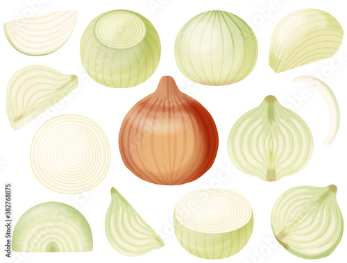 色々なタマネギ