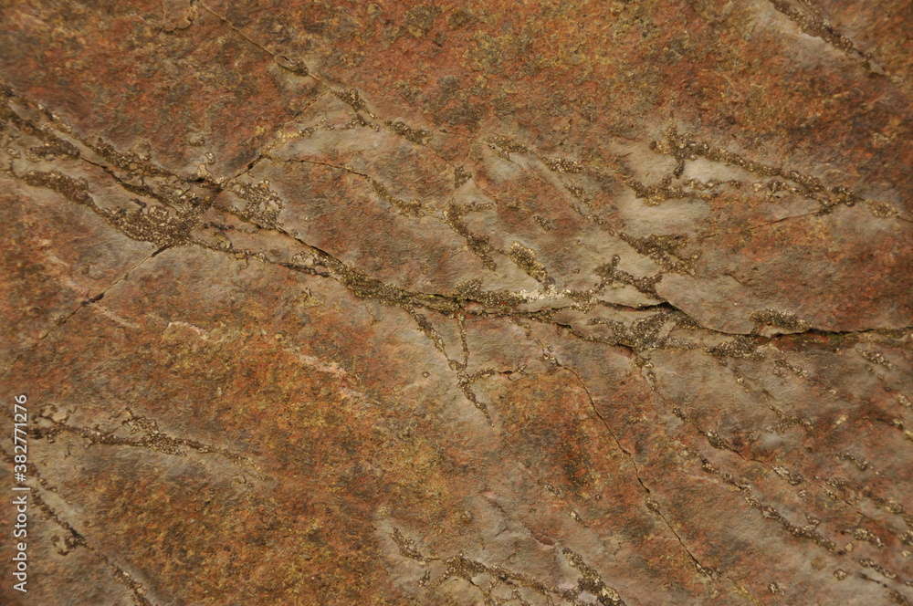 the texture of the stone the texture of the stone
