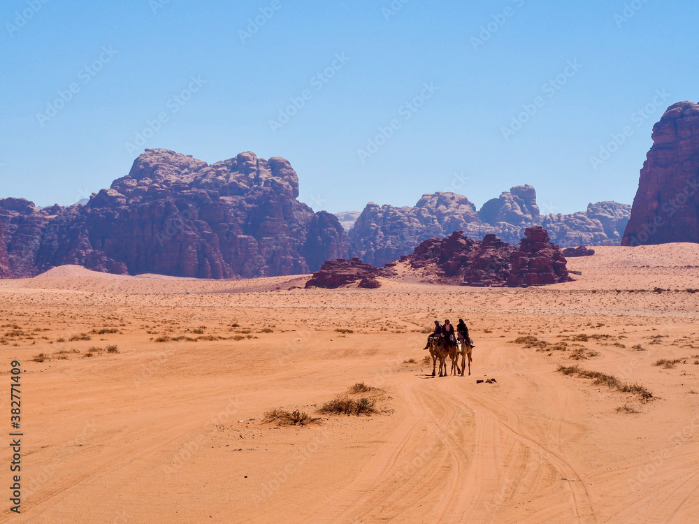 Jordan, WadiRUm, walking with camels in beautiful reddesert