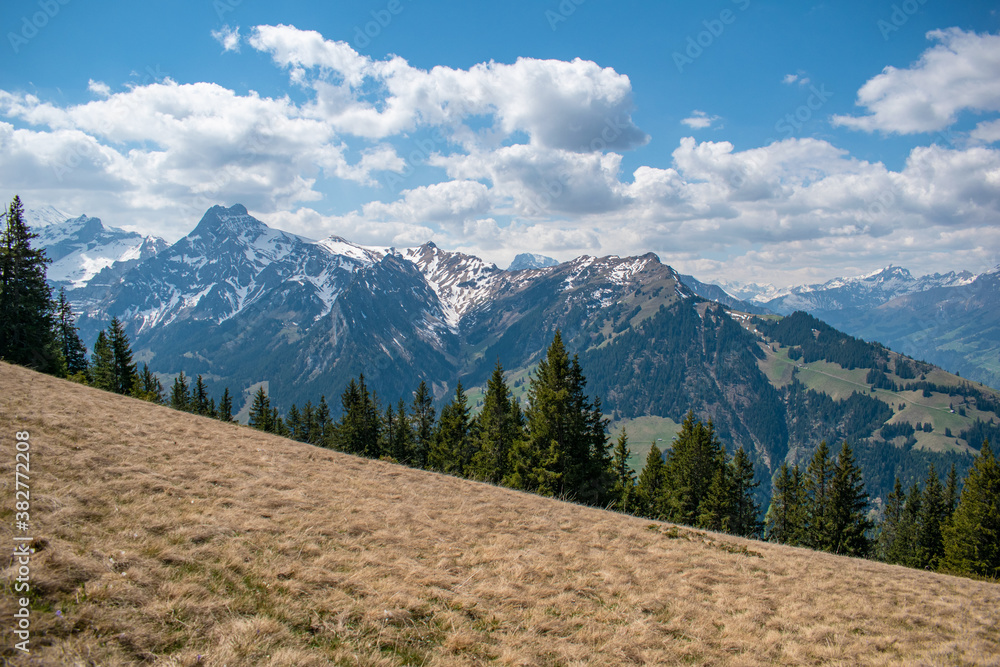 Beautiful swiss alps mountains. Alpine meadows.