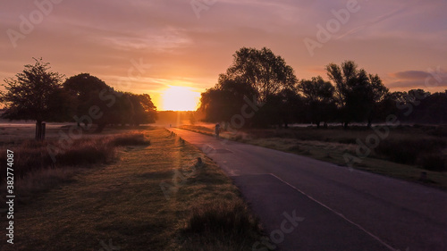 Cyclists riding at sunrise on a foggy morning  through Richmond Park  Surrey  England