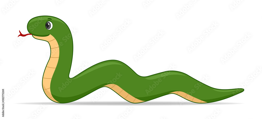 Fototapeta premium Adder snake on a white background