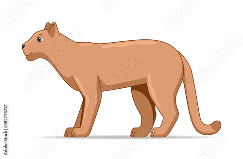 Puma standing on a white background