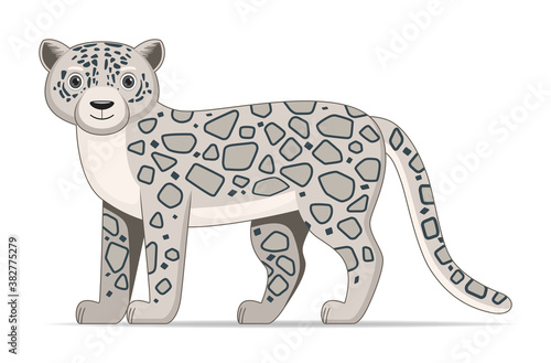 Snow leopard standing on a white background
