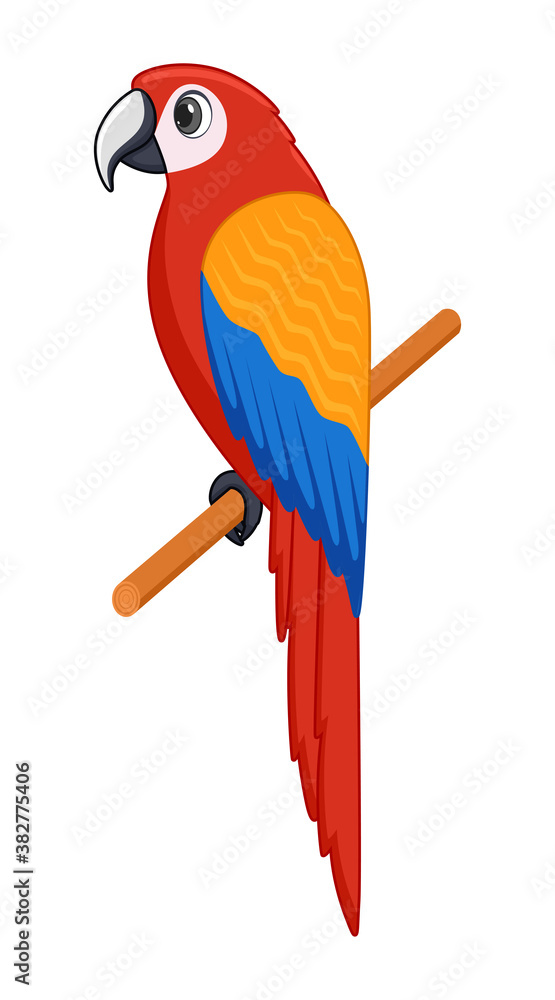 Macaw bird on a white background Macaw bird on a white background