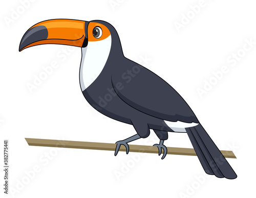 Toucan bird on a white background. Cartoon style vector illustration