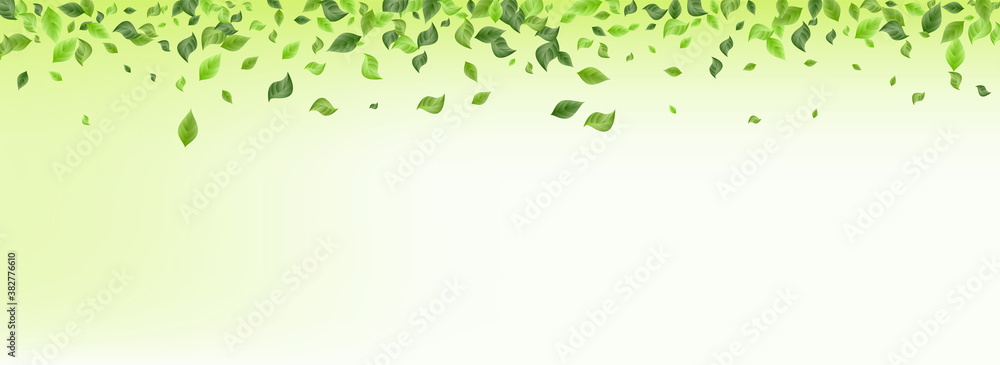 Lime Leaves Wind Vector Green Background Banner. Lime Leaves Wind Vector Green Background Banner.