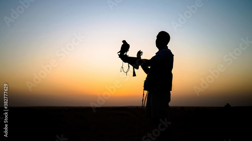 Falcon trainer silhouette in desert with sunset scenery, Dubai, UAE © CanYalicn