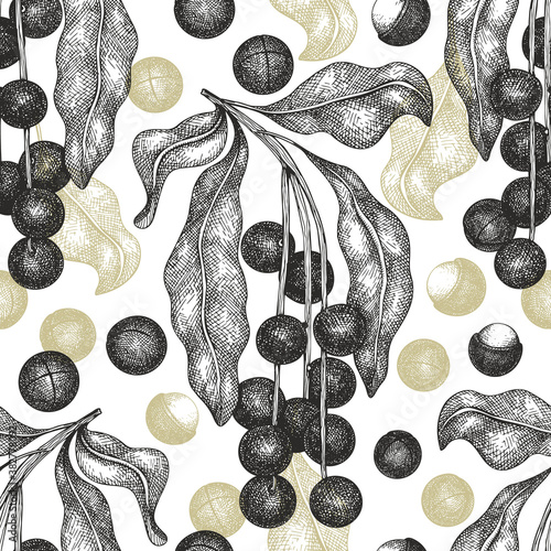 Hand drawn macadamia branch and kernels seamless pattern. Organic food vector illustration on white background. Vintage nut illustration. Engraved style botanical background.