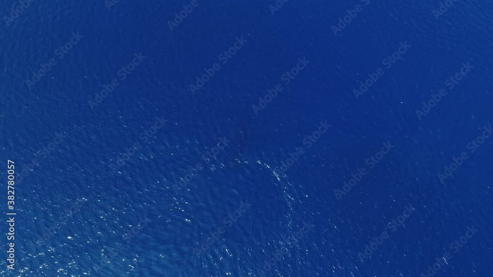Aerial, pov, a calm, deep blue sea off the coast of Hawaii Island, USA Aerial, pov, a calm, deep blue sea off the coast of Hawaii Island, USA