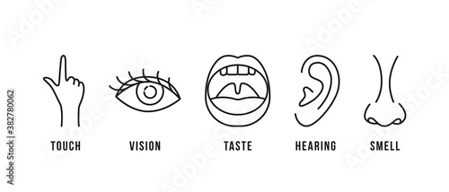 linear scheme of five human senses