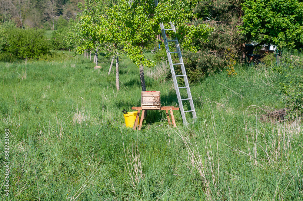 a wooden beehive under a fruit tree
