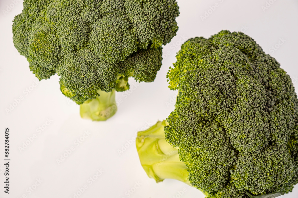 two sprouts of broccoli, Brassica oleracea var. italica