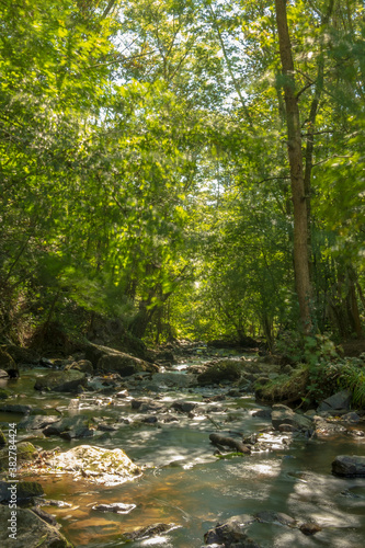 Wallpaper Mural Cascade à MORTAIN-BOCAGE, Normandie, france  Torontodigital.ca