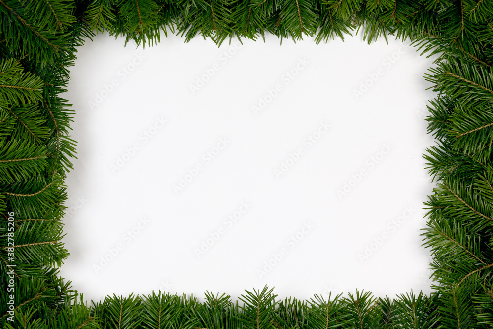 Fir tree branch frame on white Fir tree branch frame on white