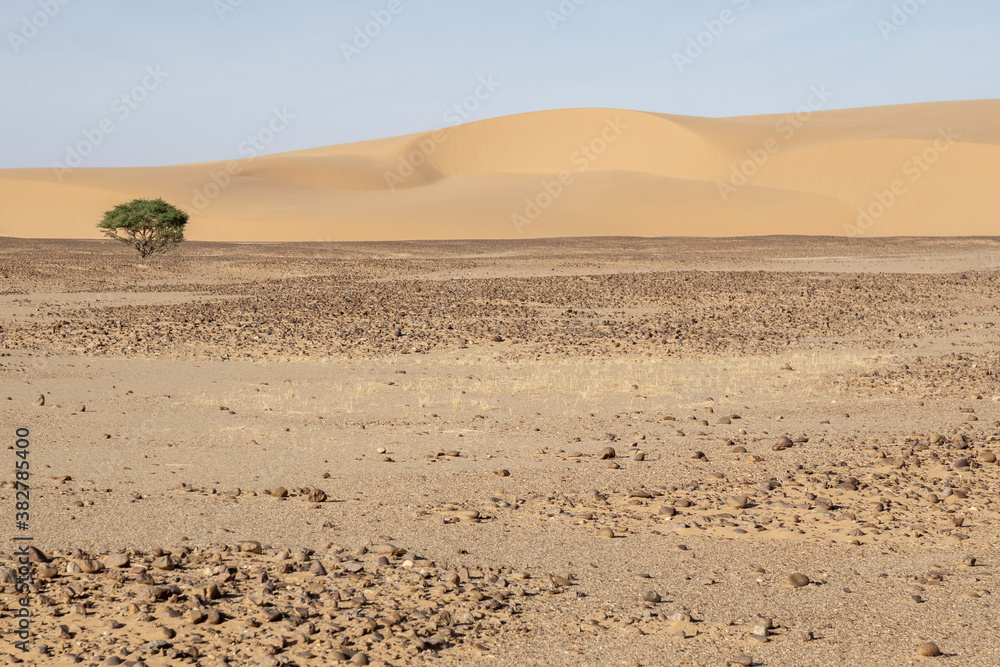 Sand dunes in the Sahara Desert of northern Chad	