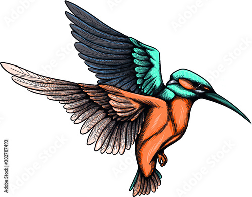 Eisvogel